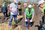 В честь солдат Великой Отечественной войны в Заринском районе посадили «Сад Памяти» 