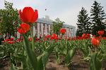 В Алтайском крае принят ряд решений в сфере обращения с безнадзорными животными