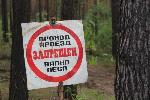 Госдума приняла в первом чтении пакет законопроектов о декриминализации лесной отрасли в России