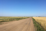 В Алтайском крае из-за неблагоприятных погодных условий введен режим ЧС 