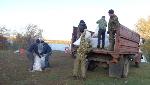 Акция  «Чистый берег»
