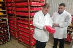 Председатель АКЗС оценил промышленные объекты Краснощековского района