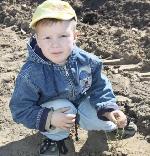 Национальный день посадки леса отметили достойно!