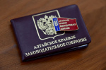Вслед за федеральной планируется изменить региональную норму предоставления сведений о доходах депутатов