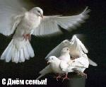 Всероссийский день семьи, любви и верности