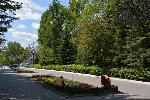 В Парламентском центре состоится круглый стол, посвященный состоянию «зеленого каркаса» Барнаула 