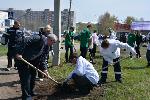 Анатолий Суворов принял участие в акции по посадке деревьев в Ленинском районе