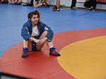 В Барнауле прошел чемпионат Алтайского края по самбо 