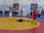 В Барнауле прошел чемпионат Алтайского края по самбо 